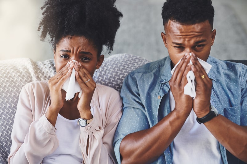 4 Ways to Improve IAQ During Allergy Season in Knoxville, TN