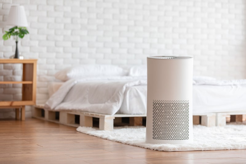 Air Purifier Removes Allergens